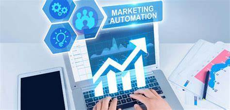 正規互聯網銷售項目概覽